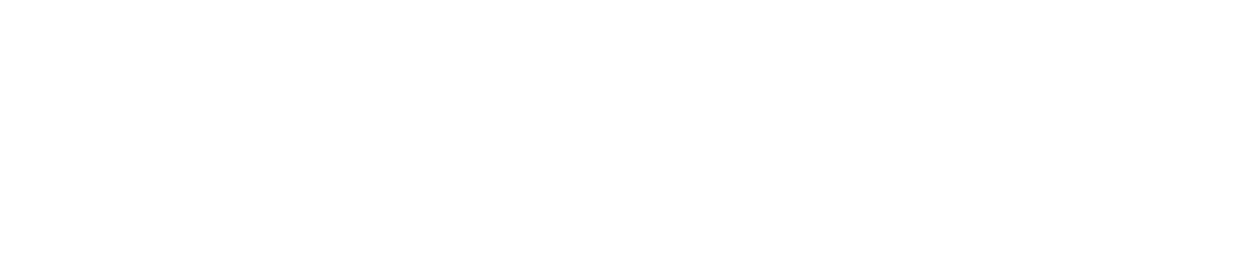White Logo